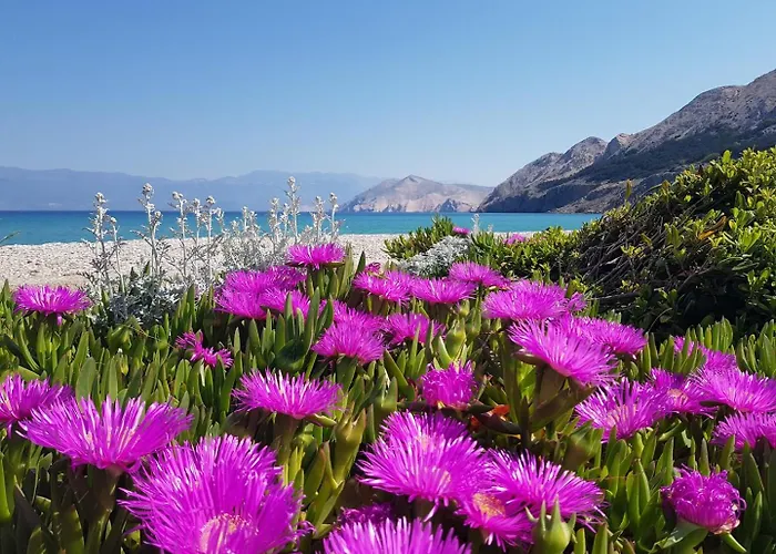 Гостевой дом Mikulan Nara 3*